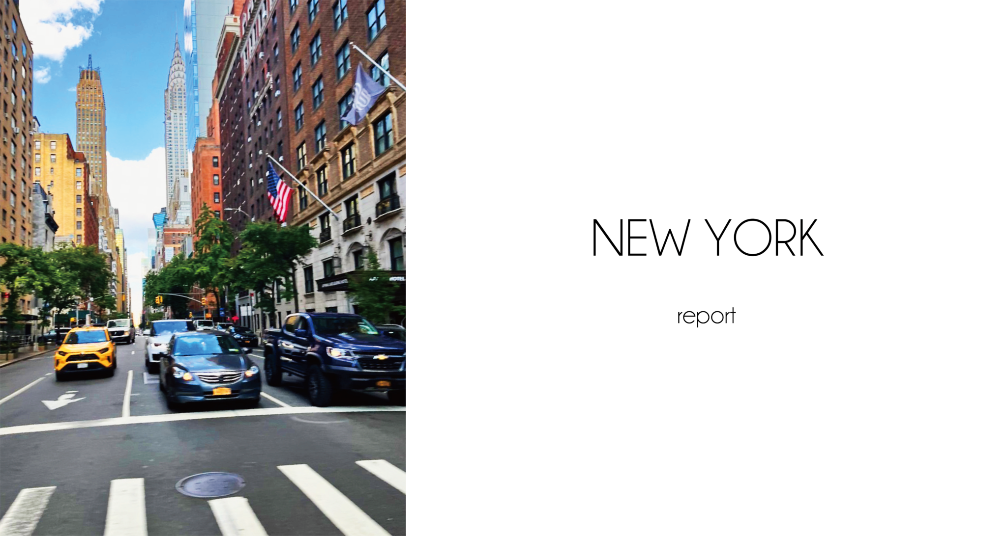 Development of our businesses in New York Octo Force Management（オクトフォース）