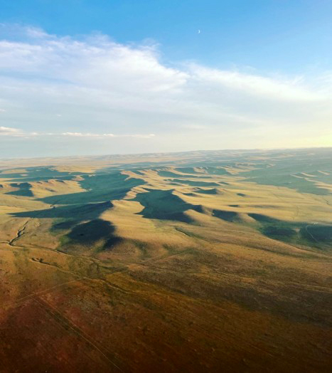 NowWorking_,mongolia-cooper05_octoforce