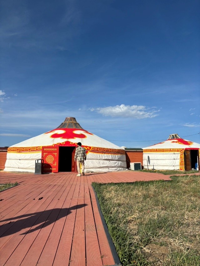 mongolia-consulting_octoforce03